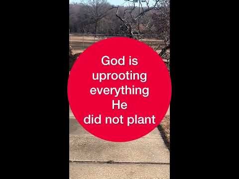 God is uprooting everything He did not plant⭕️