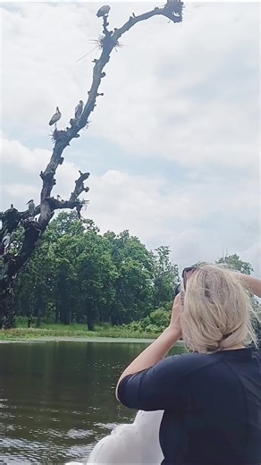 Bird Watching in Chitwan National Park: A Nature Lover's Guide