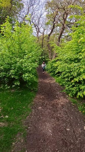 Meet Holly, a beautiful 1½-year-old red fox Labrador with a shy but lovable personality 🐾 She was a little skittish at first, needing time to suss me out, but once she warmed up, she showed her sweet and loyal side. #Redfoxlab #dogphotographer #dogphotography #labrador #dogsofinstagram | Robinmypictures
