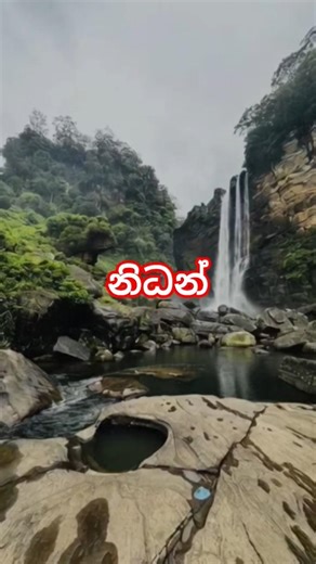 ඇල්ලෙ නිධානය😍