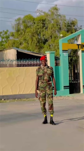 Exploring the Military Presence in Somaliland