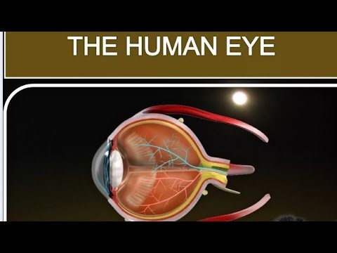 The Human Eye, Cause of eye problem and it's solution, Diseases related to eye, Class- 8, Science