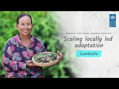 Climate-smart cricket and chaya farming in Cambodia: Livestock Development for Community Livelihood