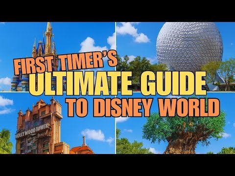 Disney World for Beginners: Learn All the Basics Before Your First Visit!