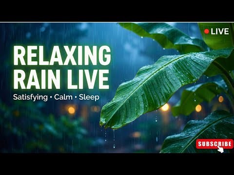 Relaxing Water Droplets ASMR 🌿💧 Ultra Realistic Nature Sounds for Sleep & Stress Relief