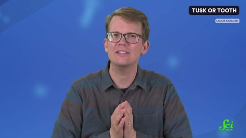 The evolution of animal music | SciShow News