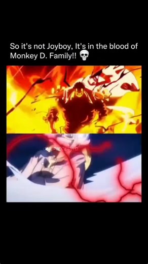 it's in the blood 🔥... collecting real one piece fans(312/1000)#onepiece #joy_piece #foryoupage