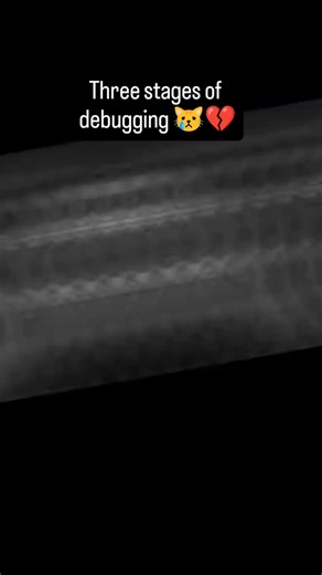 AI LABS on Instagram: "Debugging pmo so hard😓💔❌ #computerscience #programming #FAANG #softwareengineer #debugging"