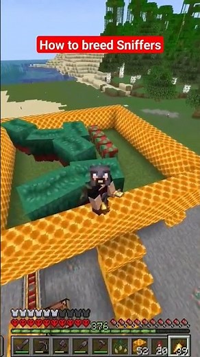 How to breed Sniffers in Minecraft 1.20