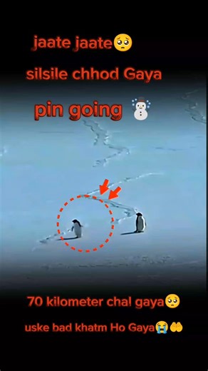 ❥︎🇪 🇷 🇸 🇦 🇩 🇭 🇸 🇦 🇲 🇮 ✰ on Instagram: "Pin coin puri video share karna 😱#smallbusinesssupport #reelsinstagram #public #🙏"