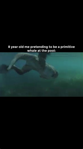 I definitely don’t pretend I’m an Ambulocetus natans anymore…👀 #whales #ambulocetus #walkingwithbeasts #palaeontology #fyp