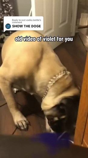 Exploring Vodka Bottles in Rust | YouTube Video Teaser