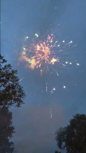 Pinball Wizard 25 shot Firework