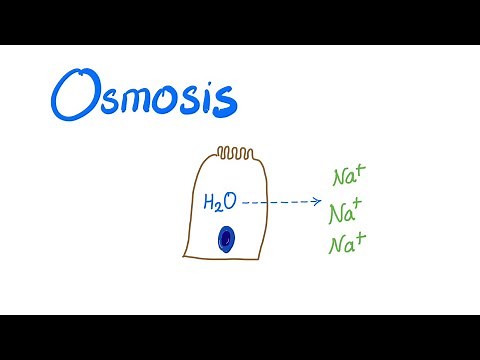 Osmosis, Osmotic pressure and Osmolality