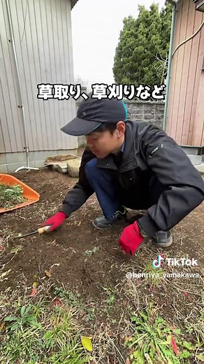 桑まん 便利屋の草刈り・抜根作業｜全力ブラザーズ やまかわクオリティ