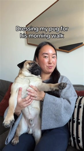 Preparing Your Pug for the Snow Storm