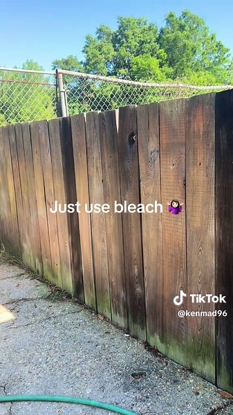 How to Effectively Clean Mildew from Fences