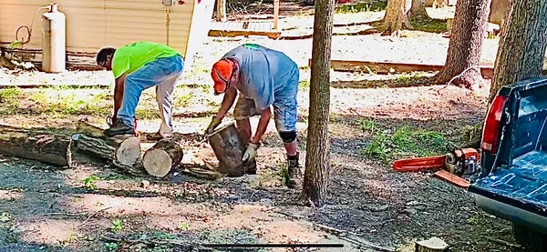 5.1K views · 112 reactions | In this September 13, 2022 firewood video my helper/supplier Mike and I are at my cousin's house to cut up and remove some ash logs and silver maple logs. | Joe's Premium Firewood | Facebook