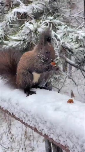 205K views · 13K reactions | Winter Wonderland ❄️ | Travel magazine | Facebook