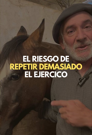 ¿Cuándo cambiar los ejercicios con tu caballo?
