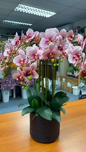 Gubahan 10 tangkai orkid mini untuk hiasan meja makan. “Elegan itu bukan pada harga, tapi pada sentuhan yang tepat.” Body: Gubahan orkid hiasan meja makan ini direka untuk mereka yang menghargai keindahan. ✔️ Rekaan eksklusif dengan sentuhan mewah. ✔️ Tahan lama, tak layu, tak perlu penjagaan rumit. ✔️ Sesuai untuk meja formal mahupun santai. Biarkan setiap hidangan disempurnakan dengan aura elegan yang memikat tetamu. CTA: 🌿 “Hiasi meja makan anda dengan orkid premium hari ini. Klik link di bi