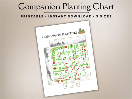 Companion Planting Chart, Companion Planting Guide, Companion Gardening, Vegetable Garden, Garden Planner, Garden Planning, Garden Organizer - Etsy