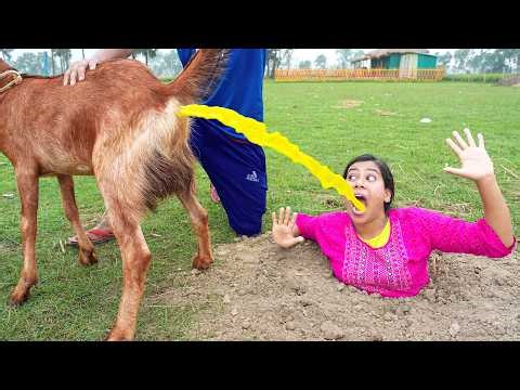 Stupid Student & Father Funniest Fun Comedy Video 2026 😂 Episode 271 By Our Fun Tv