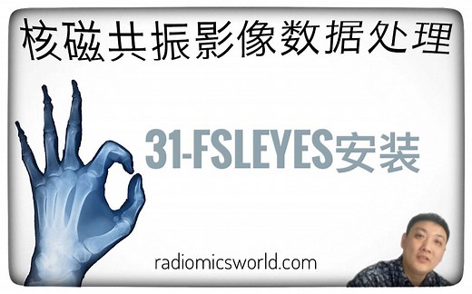 核磁共振影像数据处理 | 医学影像查看，感兴趣区roi勾画软件fsleyes安装指南