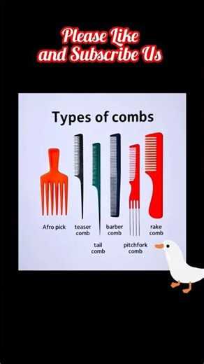 Types of Combs || In English.