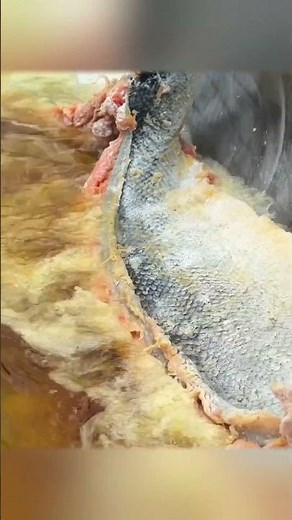 Fish Cooked in a Giant Log – A Wilderness Recipe Like No Other!