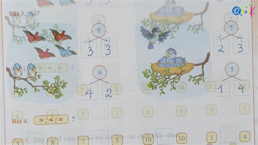 3.6K views · 14 reactions | BÀI TẬP TUẦN TOÁN 1 (Kết nối) - Tuần 5:...