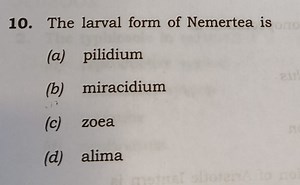 The larval form of Nemertea is(a) pilidium(b) miracidium(c) ... | Filo