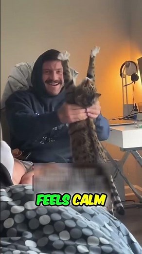 How to Make Your Cat Obsessed With You
