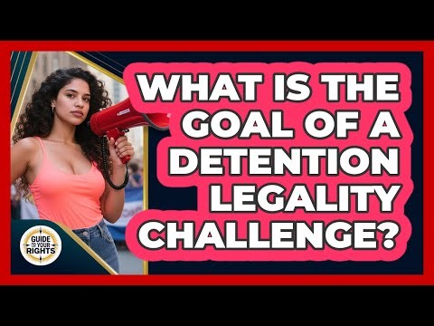 What Is the Goal of a Detention Legality Challenge?