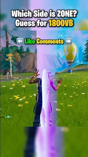 Did You Guess the Right Side?! 🧐#gaming #fortnite #fortniteshorts