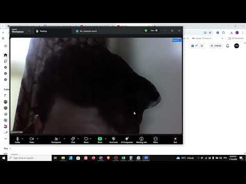 How To Share Your Computer Sound On Zoom - Full Guide