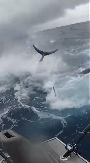 Why the Atlantic Ocean is in Chaos (and What it Means for You)