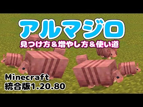 アルマジロの見つけ方＆増やし方＆使い道 アルマジロの甲羅 オオカミの防具【マイクラ】be版 統合版 1.20.80【マインクラフト】#bedrock #minecraft switch ps4 ps5