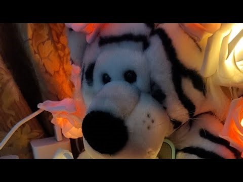A white Tiger plush toy with a black nose and stripes 121725 Silent Live Wednesday