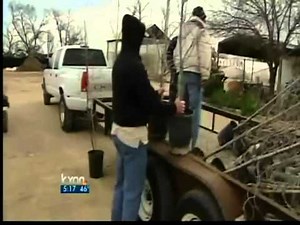More tree saplings headed to Bastrop