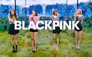 BLACKPINK x Dear Earth 预告公开