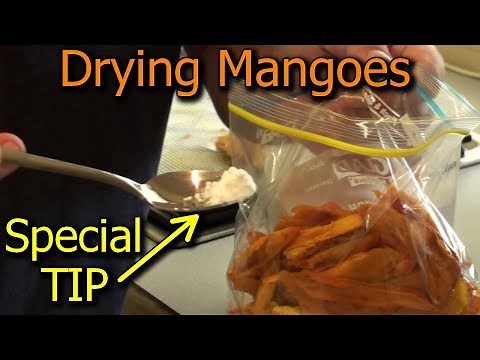 How to preserve mangoes by drying in a dehydrator - with special tip