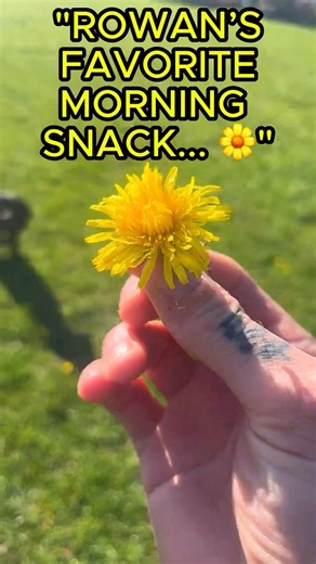 Rowan’s Favorite Snack! 🐶 #vanlife