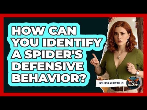 How Can You Identify A Spider's Defensive Behavior? - Insects and Invaders