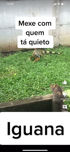 anakin.diego no TikTok