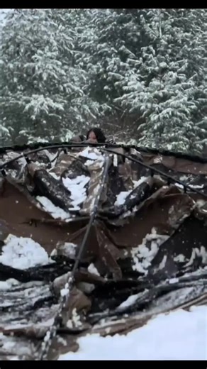 Camping in a Snowy Forest: A Winter Adventure Guide