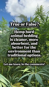 True! Hemp hurd animal bedding from Prairie Band Ag is cleaner, more absorbent, and better for the environment than traditional options. Better for your animals, better for the land. 🌱 #PrairieBandAg #HempHurd #AnimalBedding #TrueOrFalse #SustainableFarming #CleanStalls #EcoFriendlyFarming #BetterBedding #FarmSolutions #HempForAnimals | Prairie Band Ag