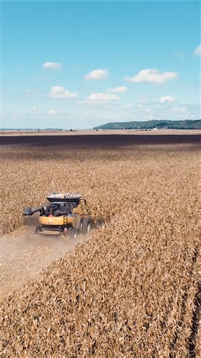 From the ground up! 🌽 The MacDon FC Series FlexCorn Header | MacDon Industries Ltd.