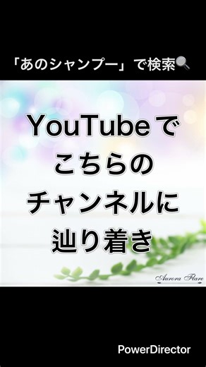 【脂漏性皮膚炎】10年間、痒み、ニキビ、フケに悩んでいました あのシャンプーことアウロラフレア全身シャンプーの感想 ＃頭皮湿疹 ＃かゆみ ＃フケ ＃脂漏性皮膚炎