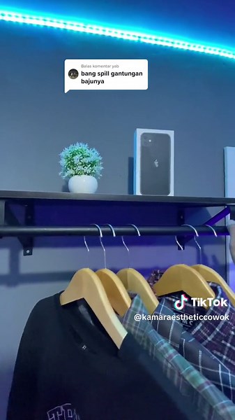 Ideas for Aesthetic Clothes Hanger Racks | Aesthetic Room Renovation